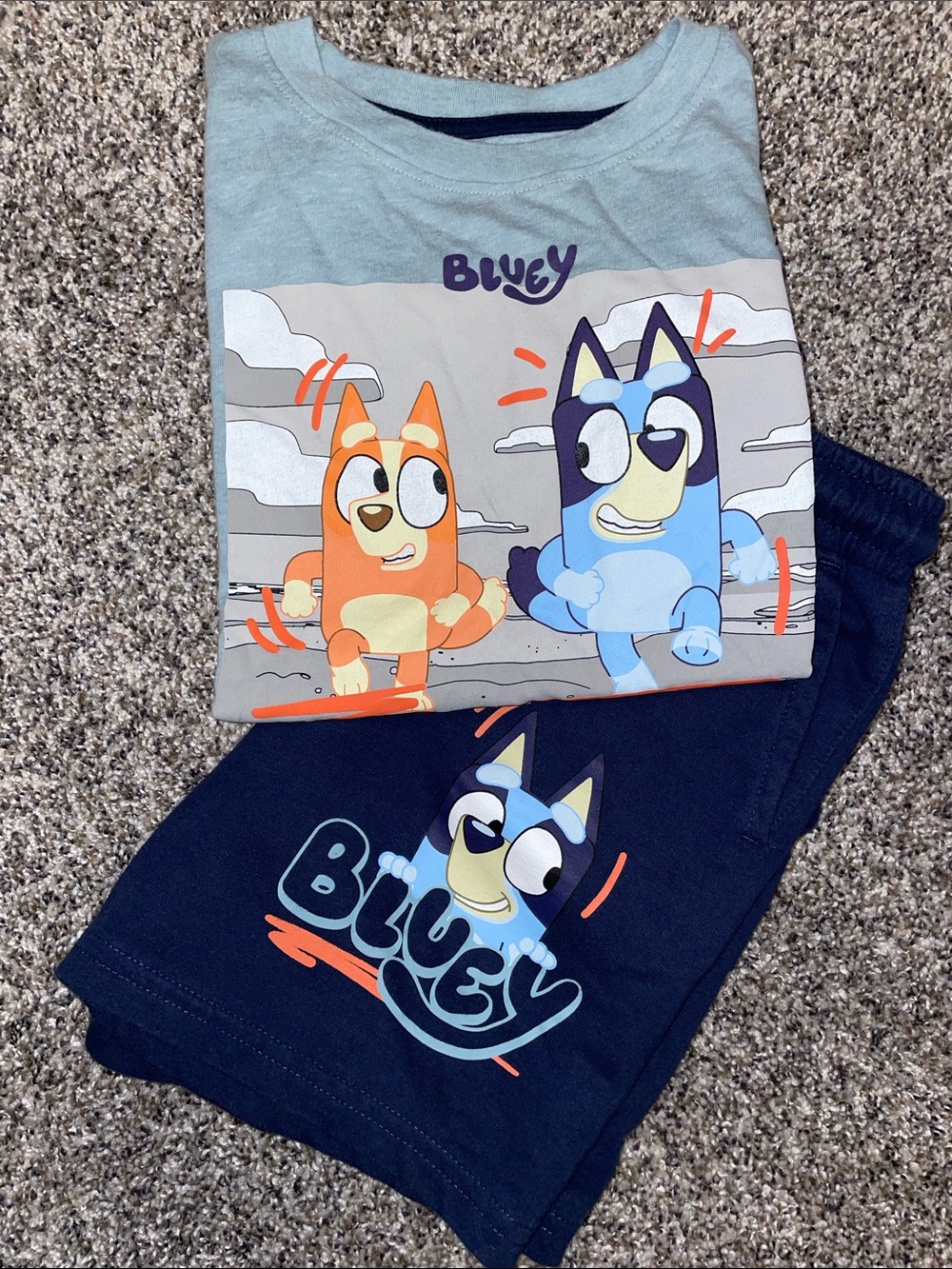 Kids Bluey Graphic Tee & Matching Shorts Set NWOT